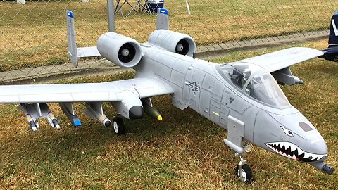 Epic Freewing A-10 Thunderbolt II Super Scale 80MM EDF Jet Flying - Freewing A-10 Warthog Fun