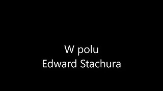 W polu - Edward Stachura