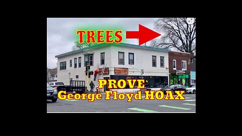 🌳TREES Prove George Floyd Was A HOAX Against Humanity