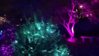 Missouri Botanical Gardens Garden Glow