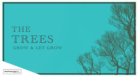 The Trees: Grow & Let Grow // March 3, 2024