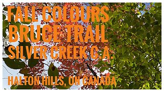 Fall Colours |Bruce Trail | Silver Creek C.A.| Halton Hills, ON 🇨🇦| 7 Oct.2023| Hiking | Relive