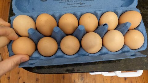 5 chickens, 1 week of eggs - September 2022 (Spring) Australia, Sydney