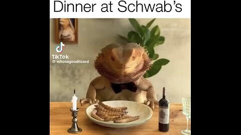 SCHWAB FINEST🐸🐛🍽️🍷🍾🪱🦗🦖HOME-MADE DINNER MENU🦎🪲🍽️🪱💫