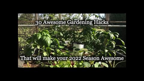 30 Awesome Gardening Hacks - Epi-3018