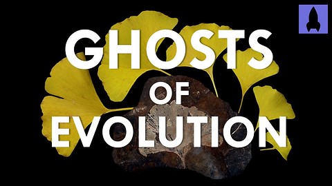 Ghosts of Evolution