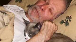 Man with advanced Alzheimer's recognizes cat