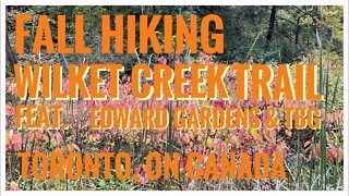 Wilket Creek Trail | Edward Gardens & Toronto Botanical Garden | Fall Foliage | Fall Colours | 4K