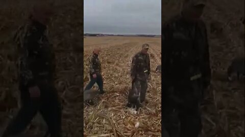 The EXCITEMENT of my FIRST BAND - watch until the end! #goosehunting