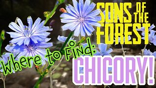 Sons of the Forest Where to Find Chicory