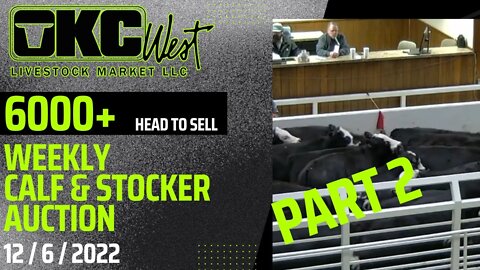 12/6/2022 - OKC West Calf and Stocker Auction Part 2