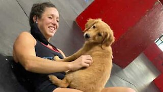 Un adorable chien aide une athlète à se détendre avant sa compétition
