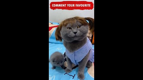 Funny Mother and her Son😂😂😂Funny Cats and Dogs Shorts compilation Animals Try not to Laugh