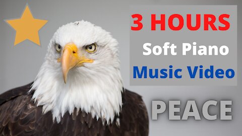 3 Hours Eagle Star Relaxation Music Video For Deep Sleep And Anxiety reduction