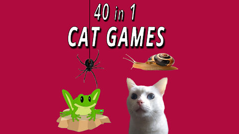CAT GAMES: 40 in 1