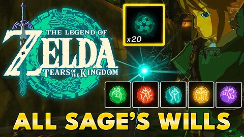 Zelda Tears of the Kingdom - All 20 Sage's Will Locations (Guide)