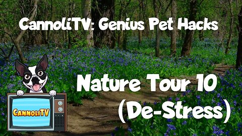Genius Pet Hack: Help Calm a hyper dog - Nature Tour 10 #soothing