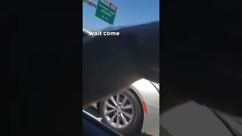 Sean Strickland road rage with gun wielding gangster