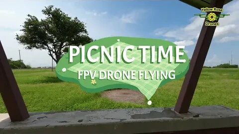 Flying the DJI Avata FPV Drone Thru a Deserted Texas Roadside Picnic Area on I 37 #fpvflying #avata