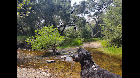 Carson's Crossing in Los Penasquitos Canyon Preserve