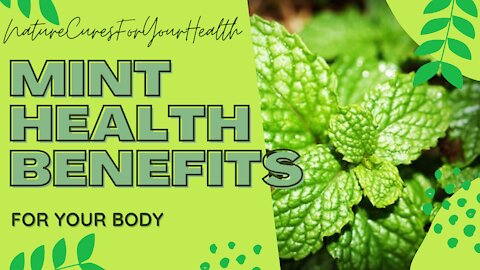 Mint Health Benefits For Your Body