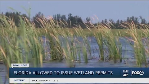Florida allows issue wetland permits