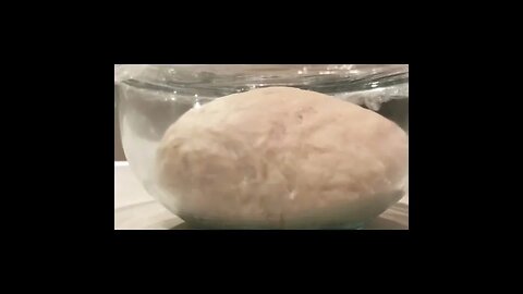 Sourdough Pizza Dough | WILD SOURDOUGH