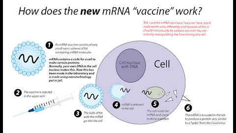 How does a mRNA vaccin work?