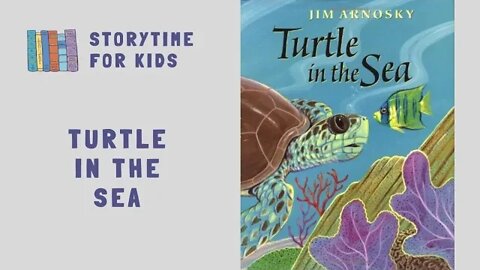 🐢 Turtle In The Sea by Jim Arnosky | Sea Turtles | @Storytime for Kids