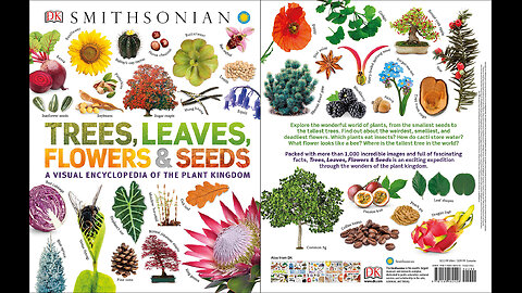 Trees, Leaves, Flowers and Seeds: A Visual Encyclopedia of the Plant Kingdom