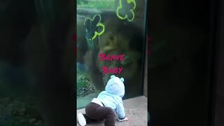 Baby Facing The Lion
