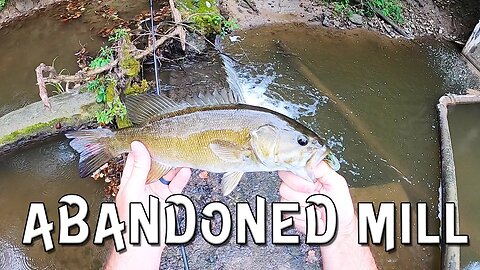 Fishing and abandoned mill with the Bank & Creek kit!