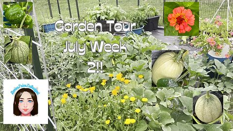 Garden Tour July Week 2 #bcl #gardentour #garden