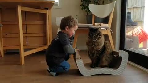 Baby boy loves to play with kitty best friend