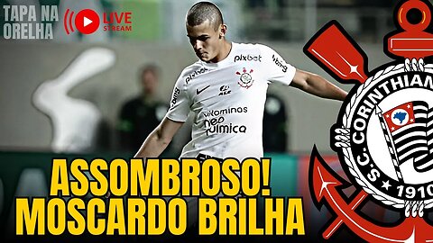 MOSCARDO BRILHA | WESLEY | RENOVAÇÕES DE BRUNO MENDEZ, "GIL E FÁBIO SANTOS | COLETIVA DO LUXEMBURGO