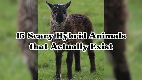 15 Scary Hybrid Animals that Actually Exist