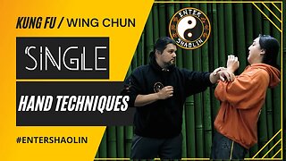 Wing Chun Training - Single Hand Techniques