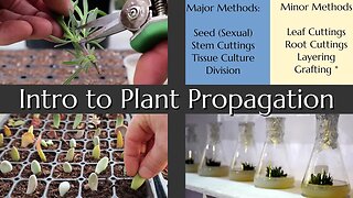 Intro to Plant Propagation