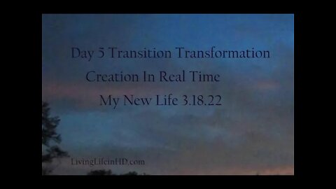 Day 5 Transition Transformation, Creation In Real Time My New Life 3.18.22