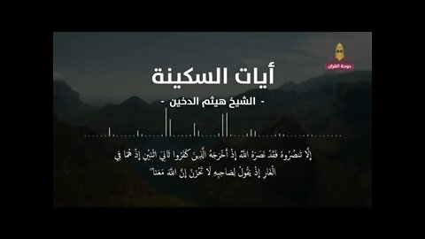 The verses of tranquility to ward off anxiety and worries || آيات السكينة لدفع القلق والهموم