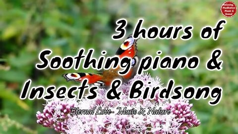 Soothing music with piano and birds singing for 3 hours, music that promote positive energy