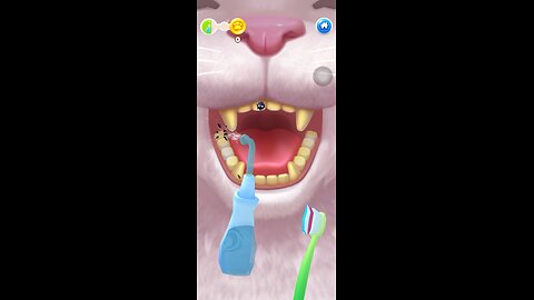 The dental hygiene of my pet Fuffy
