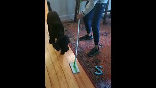Moby Attacks a Swiffer