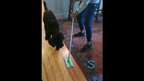 Moby Attacks a Swiffer