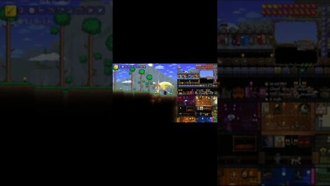 Testing some DPS! ~ Terraria #shorts