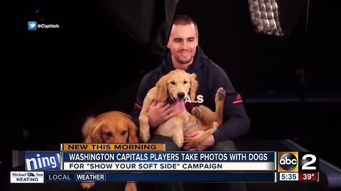 Washington Capitals players show their soft side