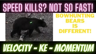 Speed Kills? Not so fast! Archery KE, Momentum and arrow Velocity for bear hunting