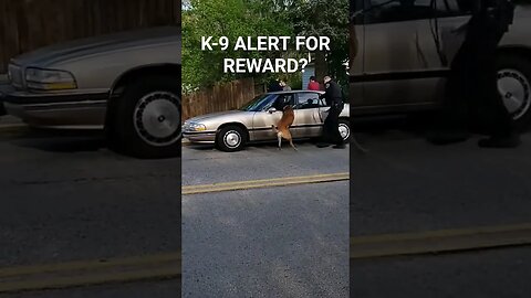 SHOULD A K-9 BE REWARDED IF IT ALERTS THE COP