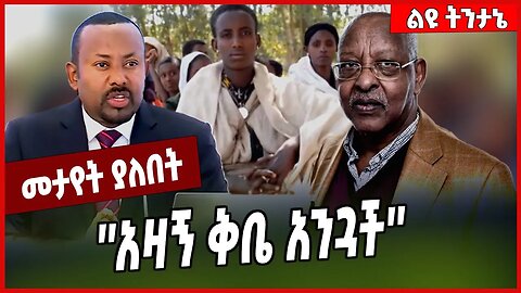''አዛኝ ቅቤ አንጓች'' Lencho Letta | Abiy Ahmed | Amhara | TPLF #Ethionews#zena#Ethiopia