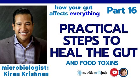 Practical Steps to Start Healing the Gut - Part 16 of Gut Healing Series
